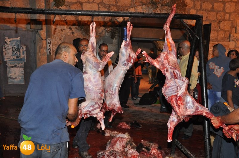 3eed ludj j31 (44).JPG